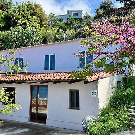 Residence Villa Denny&Villa Kate Борш Экстерьер фото