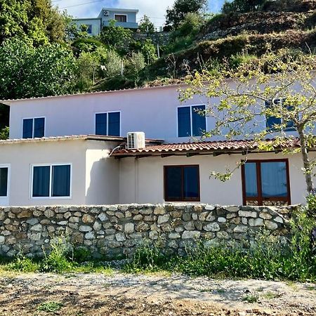 Residence Villa Denny&Villa Kate Борш Экстерьер фото