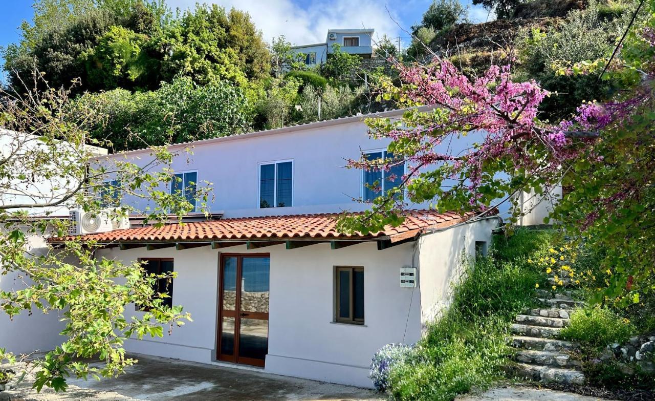 Residence Villa Denny&Villa Kate Борш Экстерьер фото
